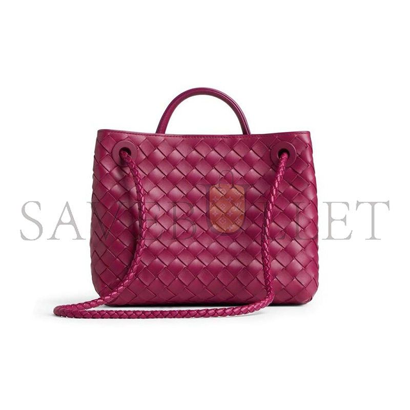 BOTTEGA VENETA SMALL ANDIAMO 743568 (25*22*10.5cm)